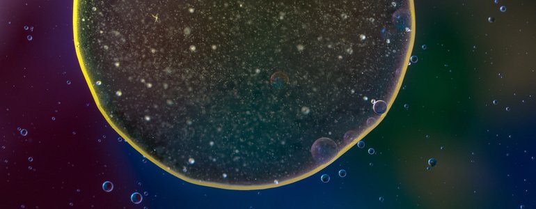 Når er eggløsning?